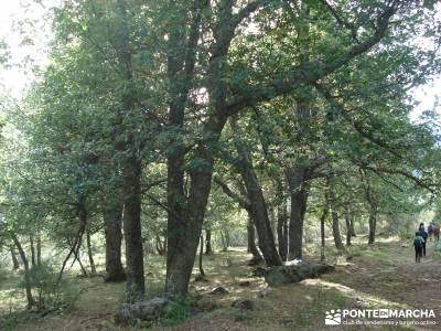 Montaña palentina;paseos sierra madrid caminatas sierra madrid rutas senderismo madrid señalizadas